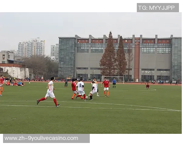 竞彩足球比分新浪带你实时掌握赛事动态与精彩分析助你赢得每一场比赛